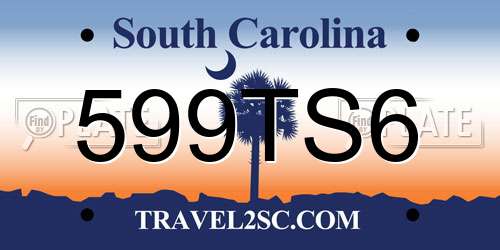 599TS6 South Carolina License Plate