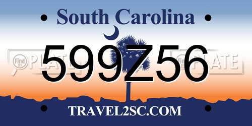 599Z56 South Carolina License Plate