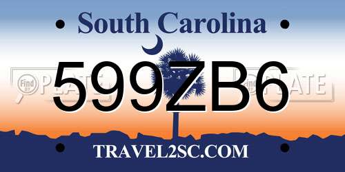 599ZB6 South Carolina License Plate