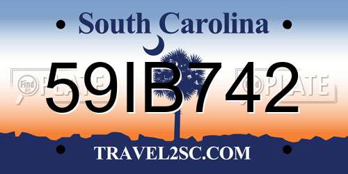 59IB742 South Carolina License Plate
