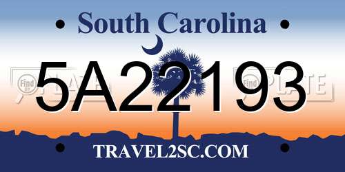 5A22193 South Carolina License Plate