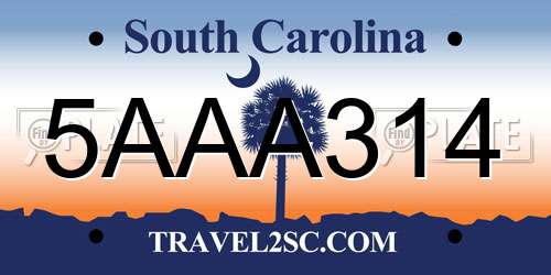 5AAA314 South Carolina License Plate