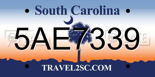 5AE7339 South Carolina License Plate