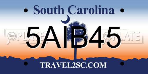 5AIB45 South Carolina License Plate