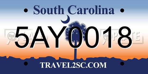 5AY0018 South Carolina License Plate