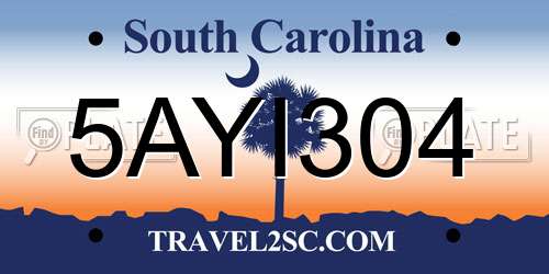 5AYI304 South Carolina License Plate