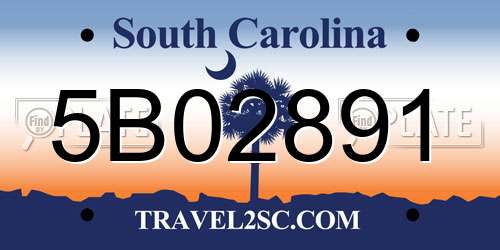 5B02891 South Carolina License Plate