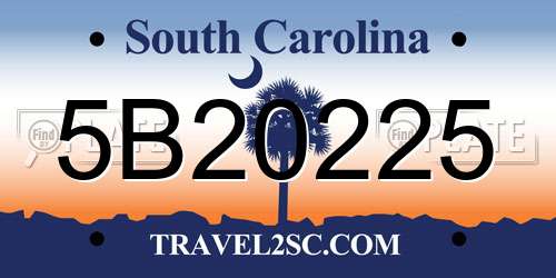 5B20225 South Carolina License Plate