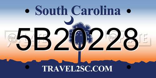 5B20228 South Carolina License Plate