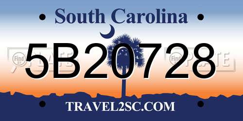 5B20728 South Carolina License Plate