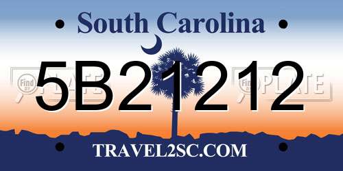 5B21212 South Carolina License Plate