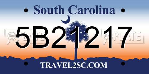 5B21217 South Carolina License Plate
