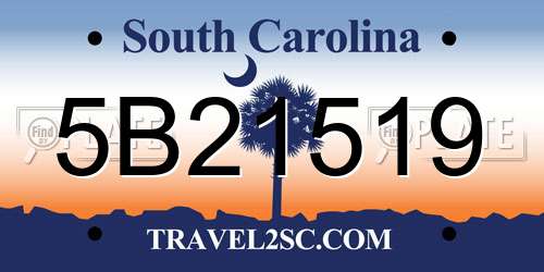 5B21519 South Carolina License Plate
