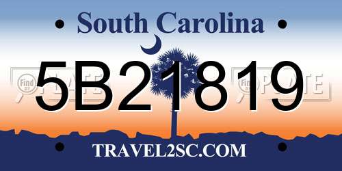 5B21819 South Carolina License Plate