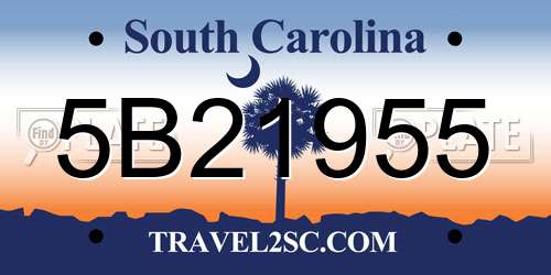 5B21955 South Carolina License Plate