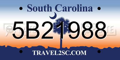 5B21988 South Carolina License Plate