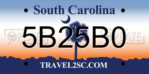5B25B0 South Carolina License Plate