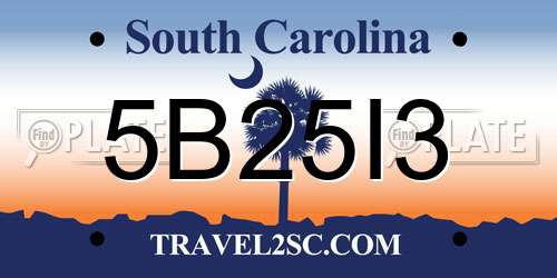 5B25I3 South Carolina License Plate