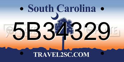 5B34329 South Carolina License Plate