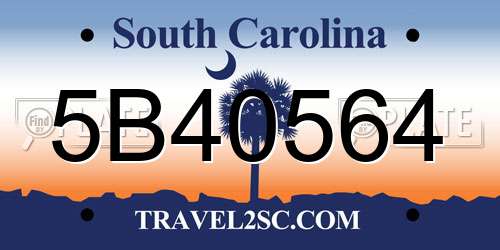 5B40564 South Carolina License Plate