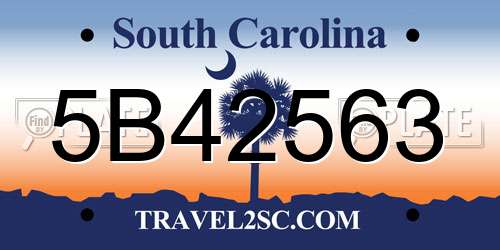 5B42563 South Carolina License Plate
