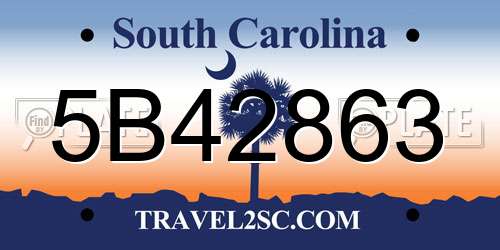 5B42863 South Carolina License Plate