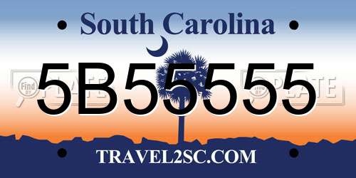 5B55555 South Carolina License Plate