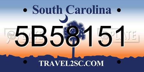 5B58151 South Carolina License Plate