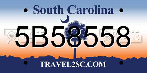 5B58558 South Carolina License Plate