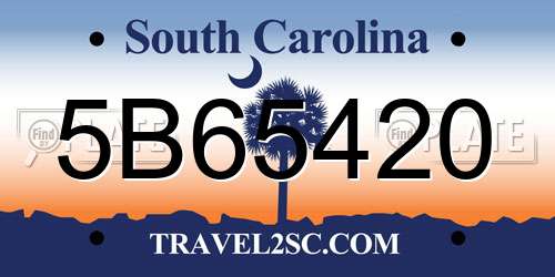 5B65420 South Carolina License Plate
