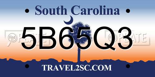 5B65Q3 South Carolina License Plate