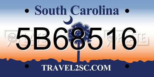 5B68516 South Carolina License Plate