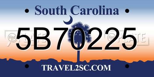 5B70225 South Carolina License Plate