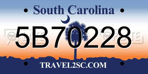 5B70228 South Carolina License Plate