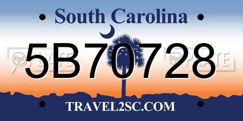 5B70728 South Carolina License Plate