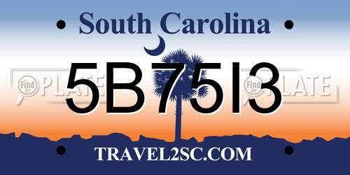 5B75I3 South Carolina License Plate