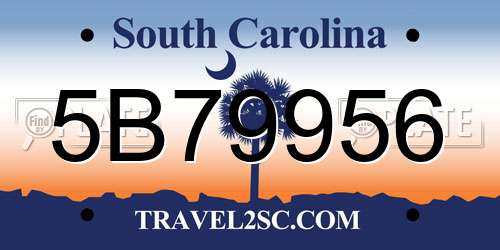 5B79956 South Carolina License Plate