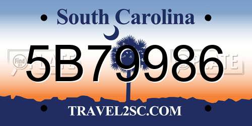 5B79986 South Carolina License Plate