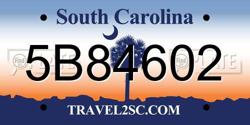5B84602 South Carolina License Plate