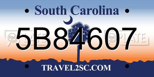 5B84607 South Carolina License Plate