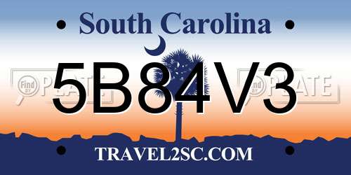 5B84V3 South Carolina License Plate