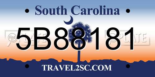 5B88181 South Carolina License Plate