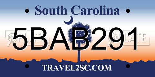 5BAB291 South Carolina License Plate