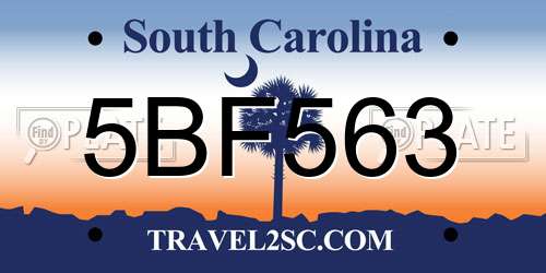 5BF563 South Carolina License Plate