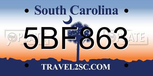 5BF863 South Carolina License Plate