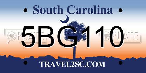 5BG110 South Carolina License Plate