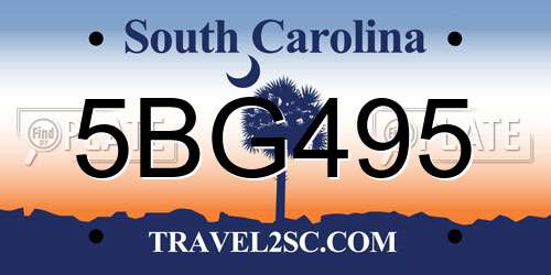5BG495 South Carolina License Plate