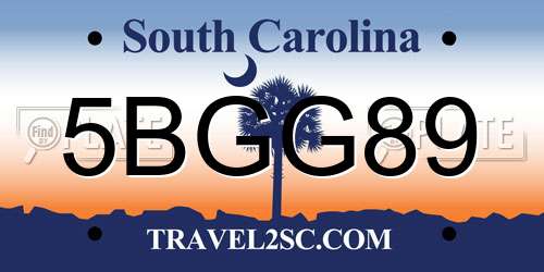 5BGG89 South Carolina License Plate