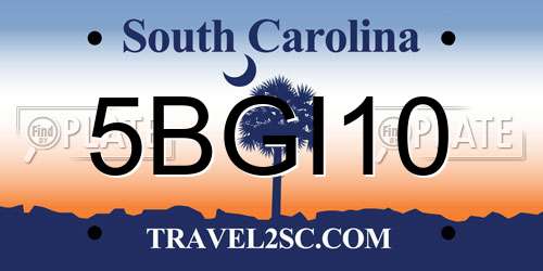 5BGI10 South Carolina License Plate