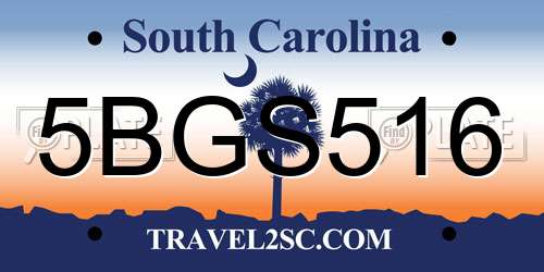5BGS516 South Carolina License Plate